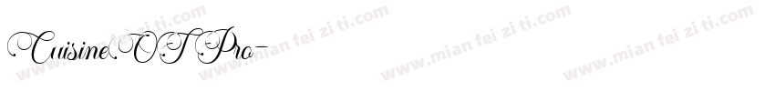 CuisineOT Pro字体转换